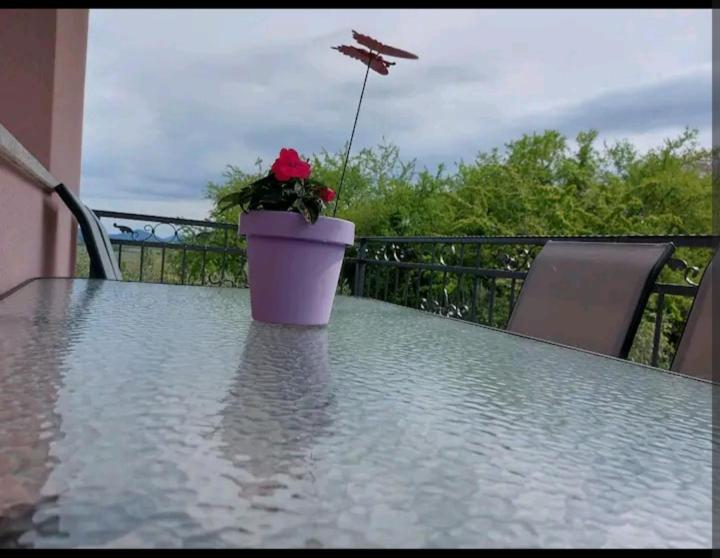 Apartman Hope Zmijavci Bagian luar foto
